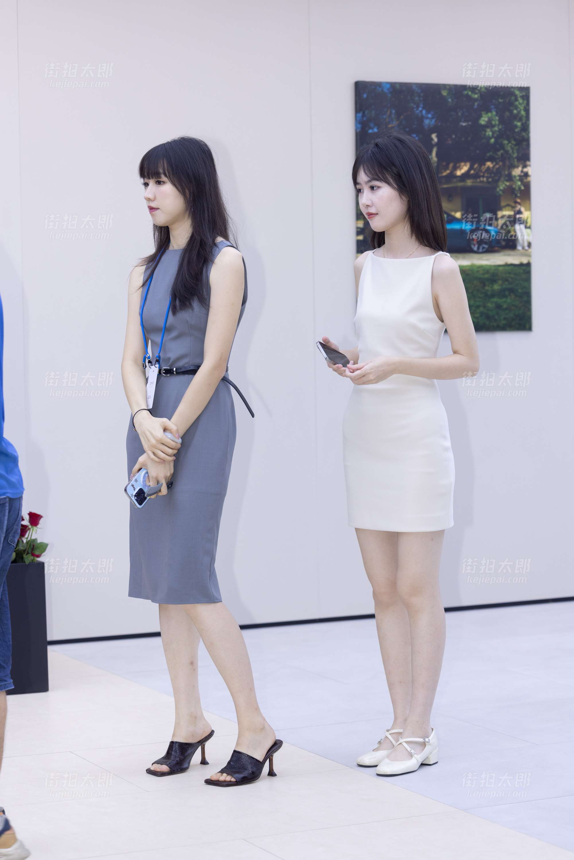 IMGC1319.jpg